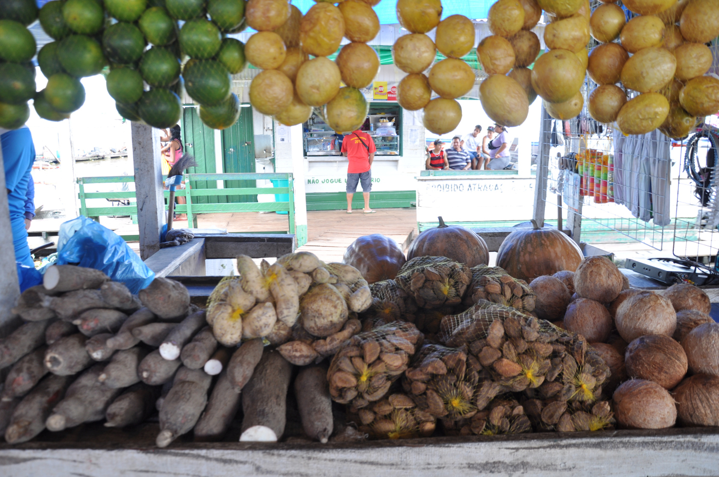 Brazylia - Manaus - Amazonka